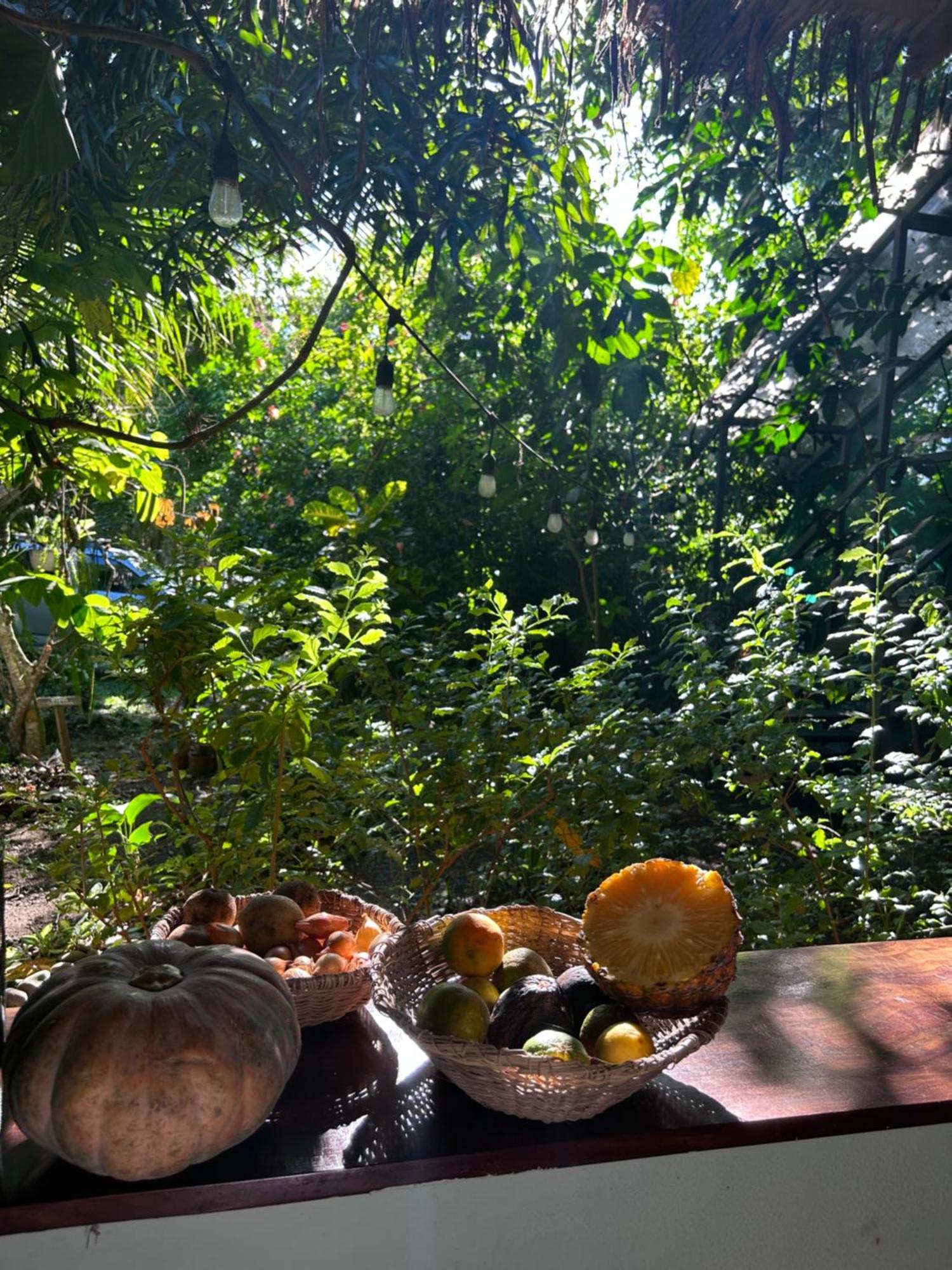 Organico Punta Riel Hotel Кахуита Екстериор снимка