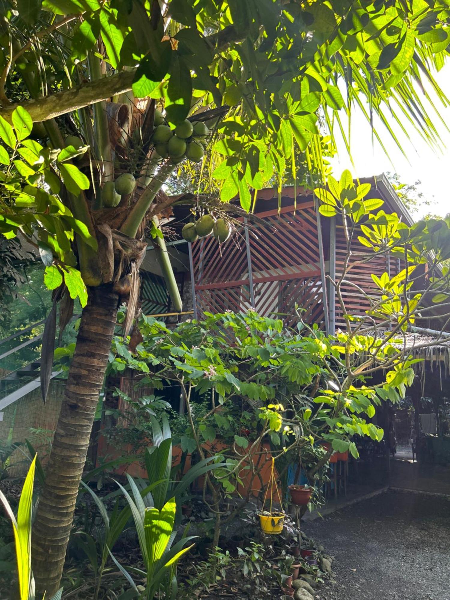 Organico Punta Riel Hotel Кахуита Екстериор снимка