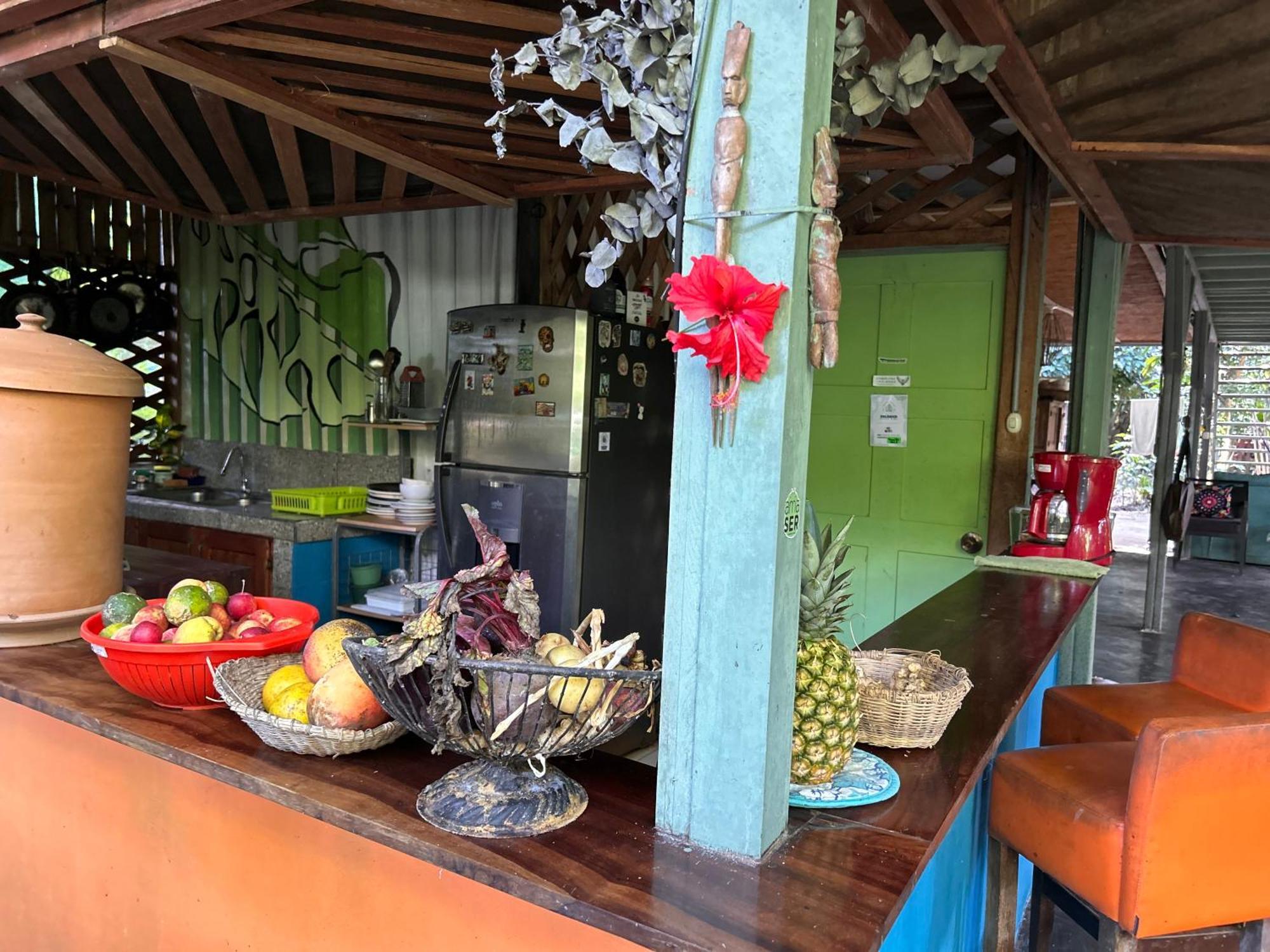 Organico Punta Riel Hotel Кахуита Екстериор снимка