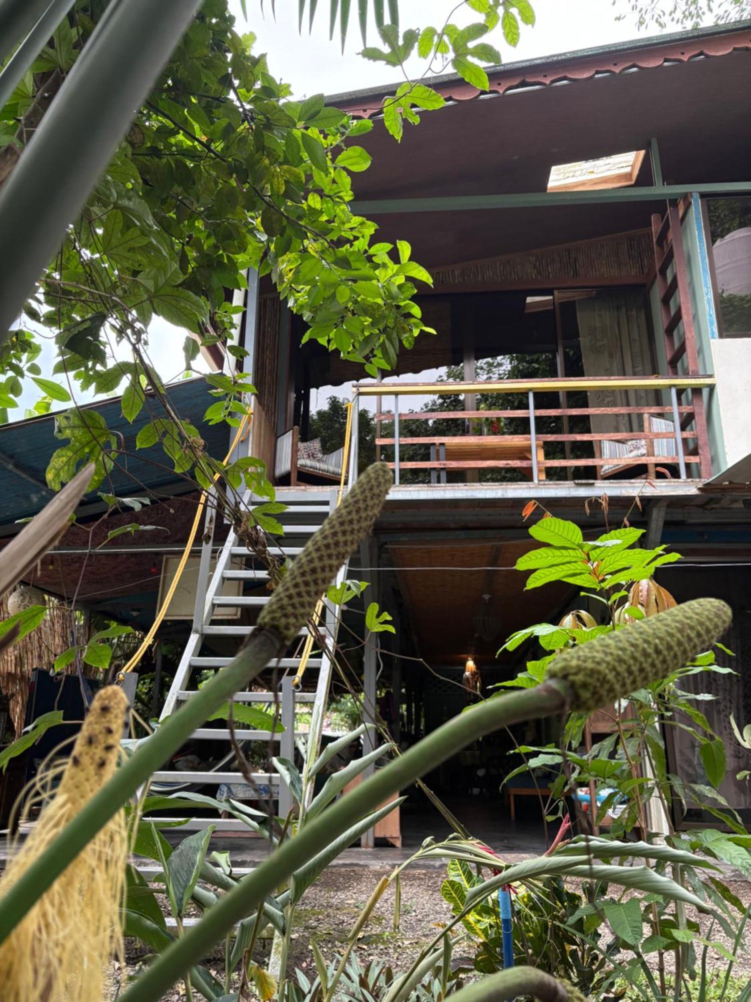 Organico Punta Riel Hotel Кахуита Екстериор снимка