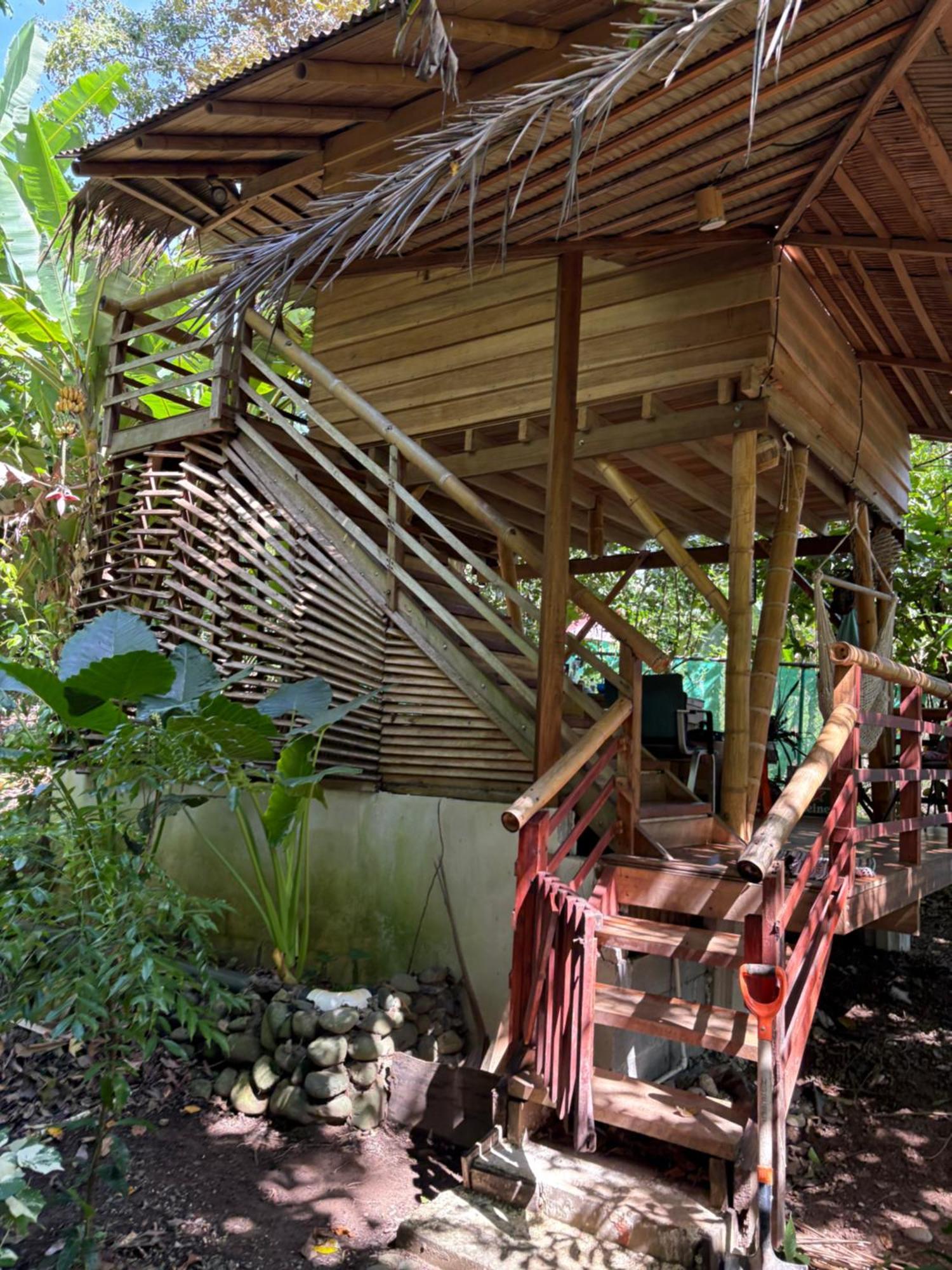 Organico Punta Riel Hotel Кахуита Екстериор снимка
