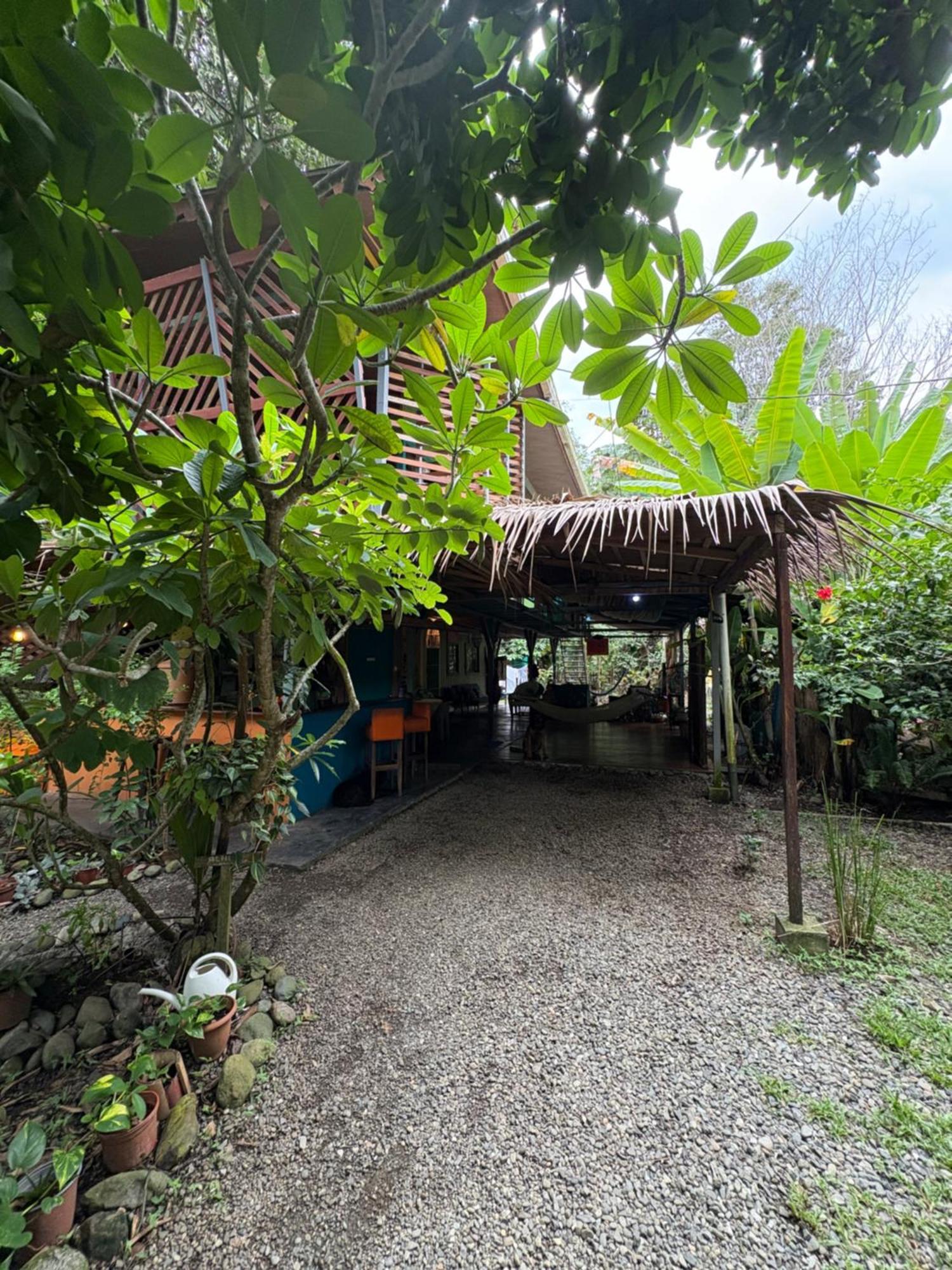Organico Punta Riel Hotel Кахуита Екстериор снимка