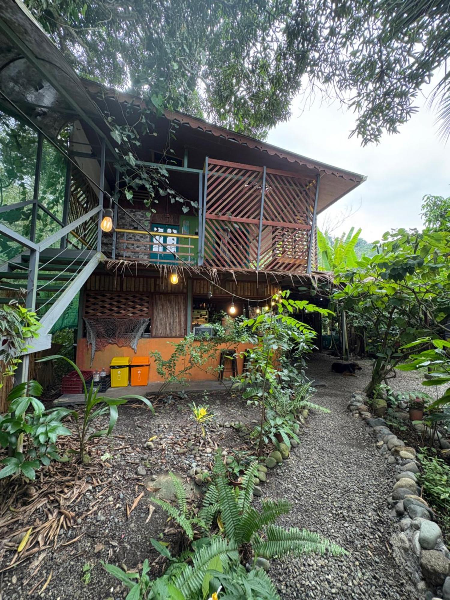 Organico Punta Riel Hotel Кахуита Екстериор снимка