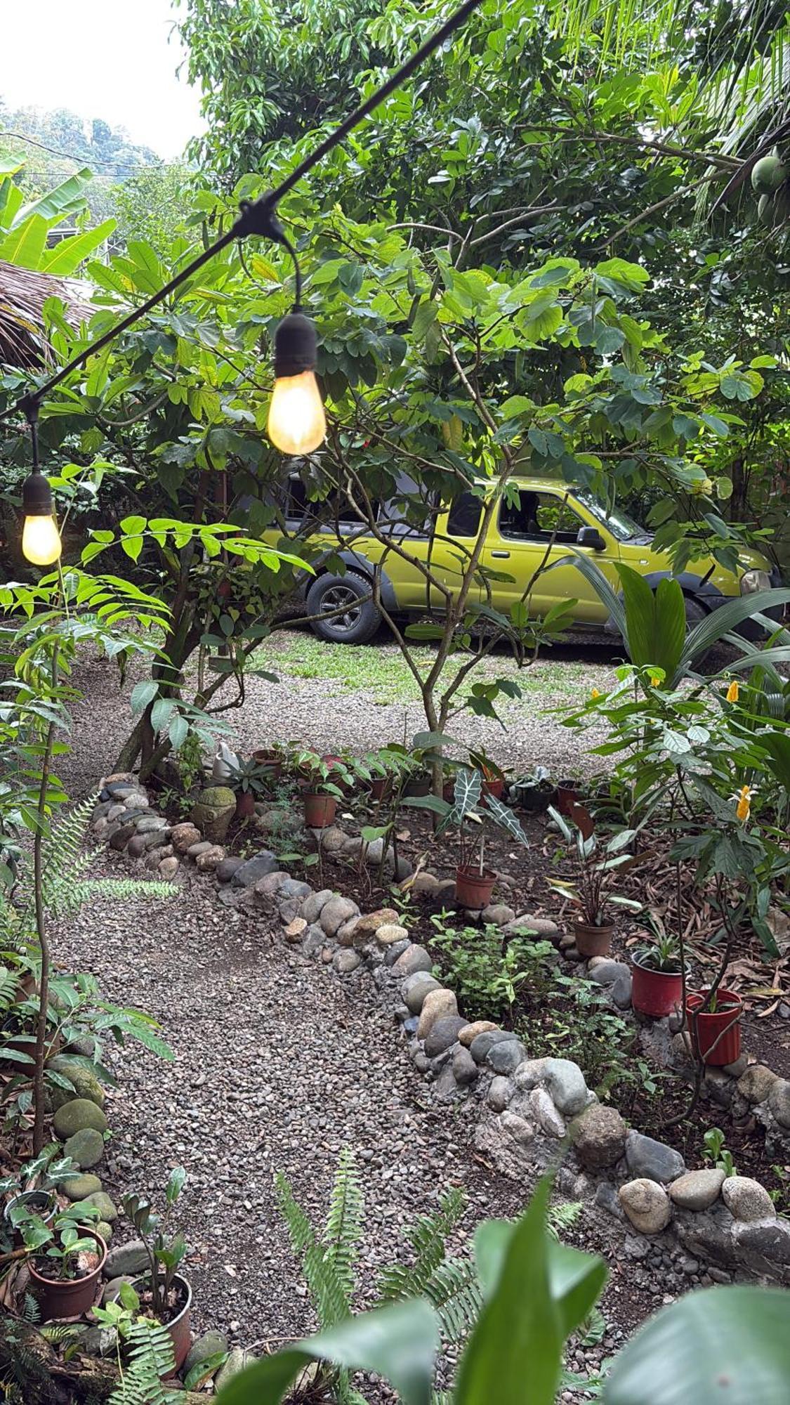 Organico Punta Riel Hotel Кахуита Екстериор снимка