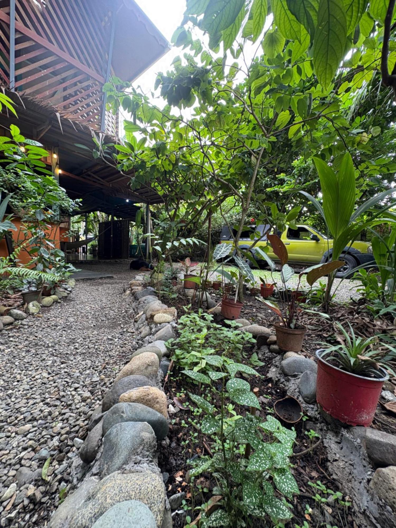 Organico Punta Riel Hotel Кахуита Екстериор снимка